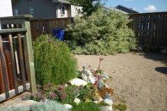 AFTER - Lawnless Back Yard