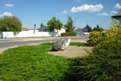 Lawnless Front Yard AFTER