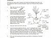 garden-pr-3