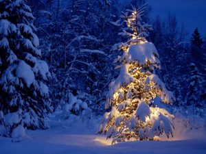 christmas tree